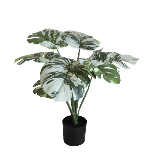 Artificial Monstera Tree (50cm) Artificial Monstera Tree (50cm)