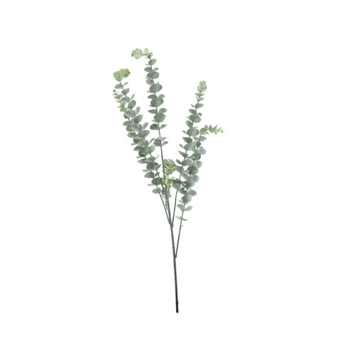 Essential Grey Eucalyptus Bush (5 Heads)  Essential Grey Eucalyptus Bush (5 Heads)