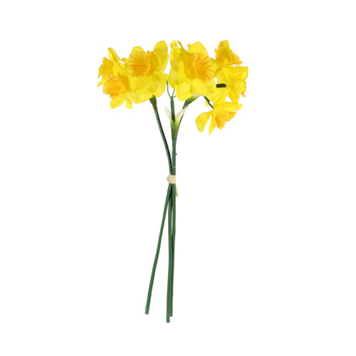 Essential Yellow Mini Daffodil Bunch Essential Yellow Mini Daffodil Bunch