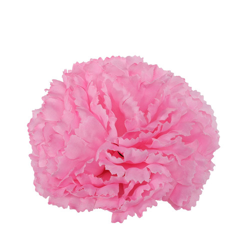 Essential Pink Carnation Pick