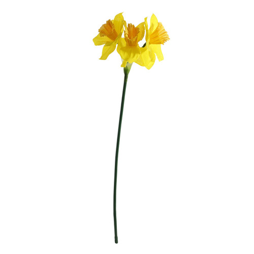 Essential Yellow Mini Daffodil (3 Heads) Essential Yellow Mini Daffodil (3 Heads)
