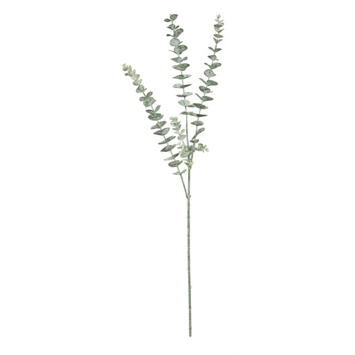 Essential Grey Eucalyptus Spray  Essential Grey Eucalyptus Spray