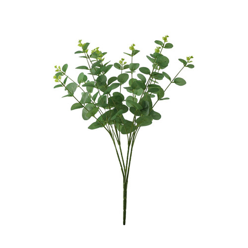 Essential Green Eucalyptus Bush Essential Green Eucalyptus Bush