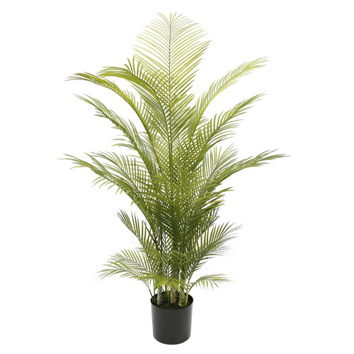 Botanica Areca Palm in Pot (150cm) Botanica Areca Palm in Pot (150cm)