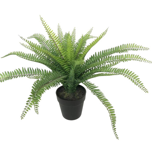 Botanica Fern Plant (48cm)