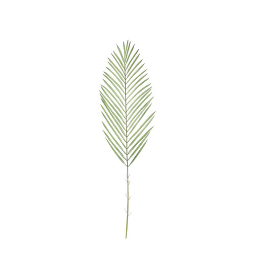 Green Botanica Areca Palm Frond (79cm) Green Botanica Areca Palm Frond (79cm)