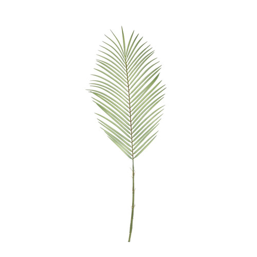 Botanica Areca Palm Frond (74cm) Botanica Areca Palm Frond (74cm)