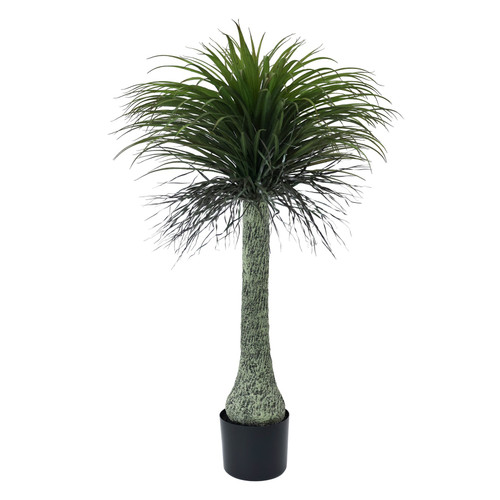 Botanica Yucca Tree in Pot (135cm) Botanica Yucca Tree in Pot (135cm)