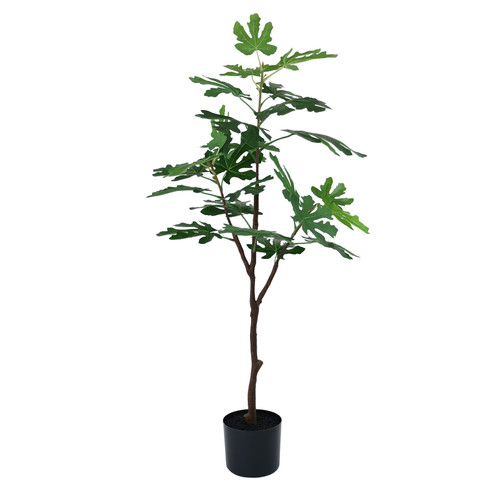 Botanica Fig Tree in Pot (105cm) Botanica Fig Tree in Pot (105cm)