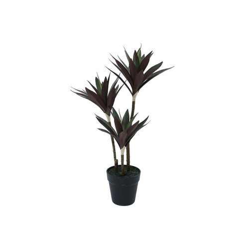 Botanica Yucca Tree in Pot (63cm) Botanica Yucca Tree in Pot (63cm)
