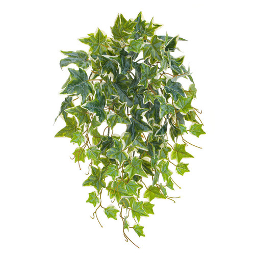 UV Green Ivy Bush Trails x 10 (115 Leaves)