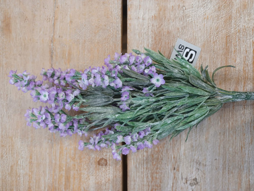 Lavender Bush Stem