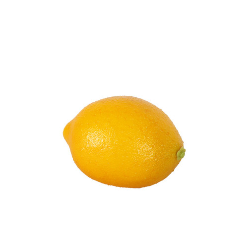 Essential Artificial Lemon (6cm)