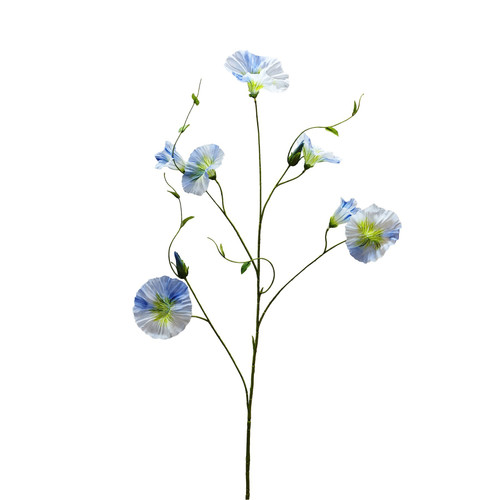 Botanica Teal Liseron (107cm)