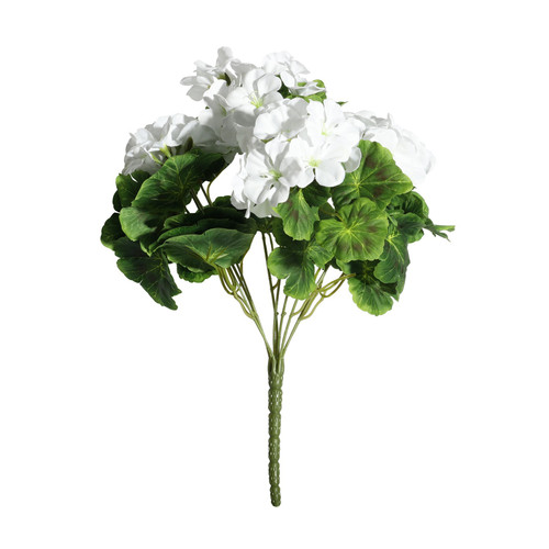Geranium White Bush (15cm)