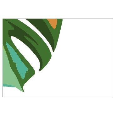 Monstera Leaf Illustration Card (PK6)