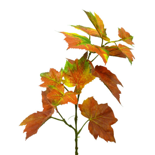 Burgundy Canada Maple Leaf (46cm)