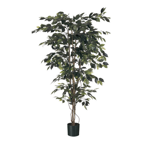 Green Fiscus Potted Tree (4ft)
