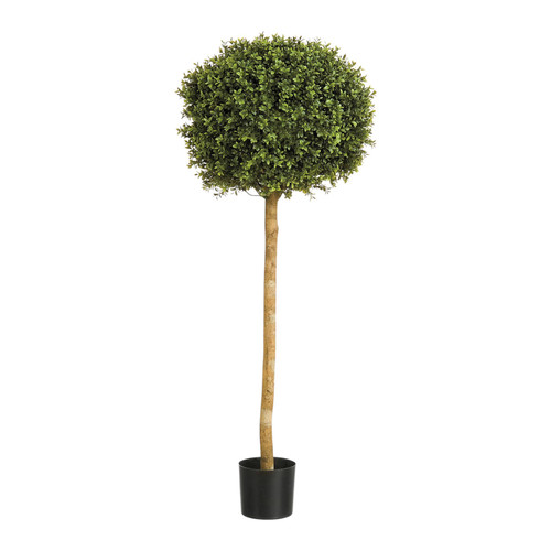 Green Boxwood Ball Potted Tree (4ft)