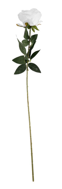 Essential White Arundel Rose (70cm)
