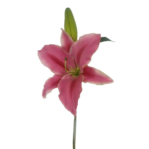 Mauve Casablanca Lily (66cm)