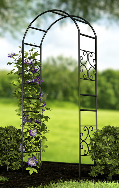 Black Scroll Metal Garden Arch (228.5cm H)