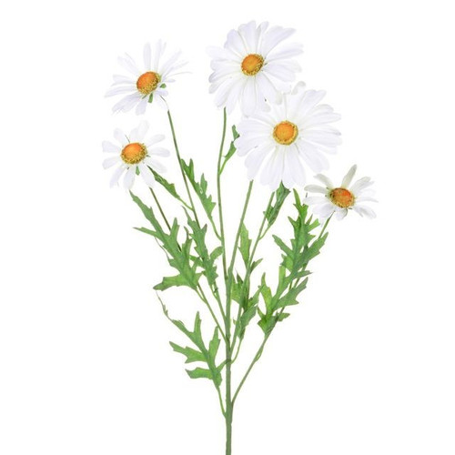White Daisy Spray (66cm)