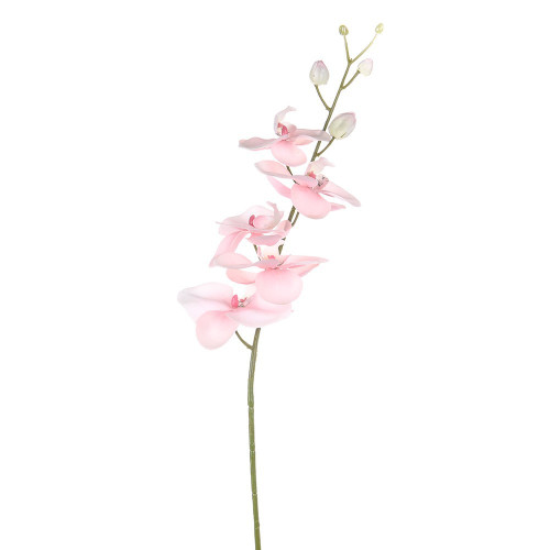 Pink Dawn Orchid Stem (92cm)