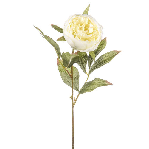 Ivory Dawn Peony (62cm)