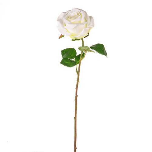 Cream Fiesta Rose (47cm)