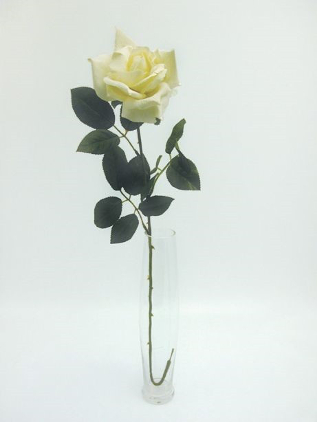 Cream Premium Rose Large (71cm)