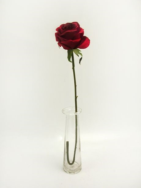 Red Prize Rose (64cm)