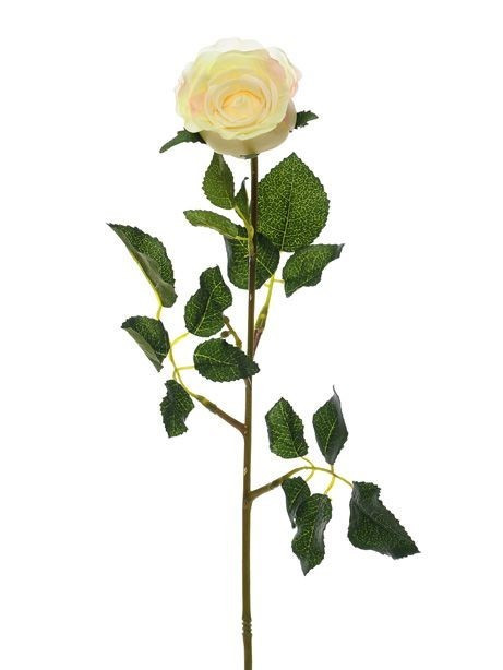 Cream Precious Rose Bud (59cm)