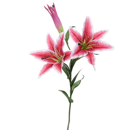 Pink Cameo Casa Stargazer Lily (81cm)