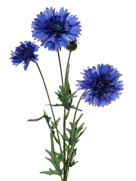 Blue Cornflower Spray (65cm)