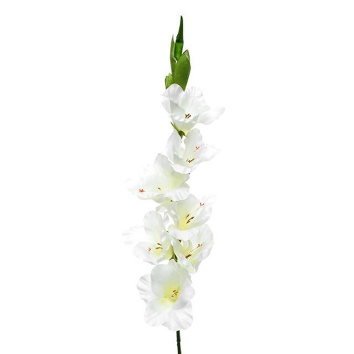 Ivory/Cream Gladiola (96cm)