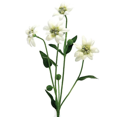 Edelweiss Spray (32cm)