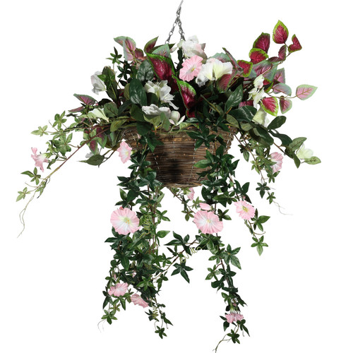 Coleus Hanging Basket