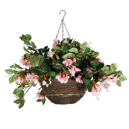 Fuchsia Hanging Basket