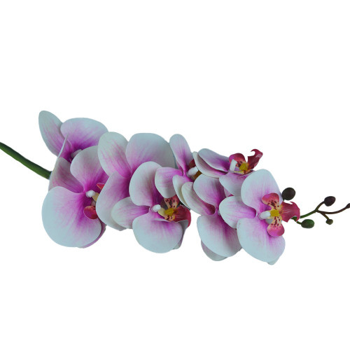 Pink Orchid Stem (80cm)