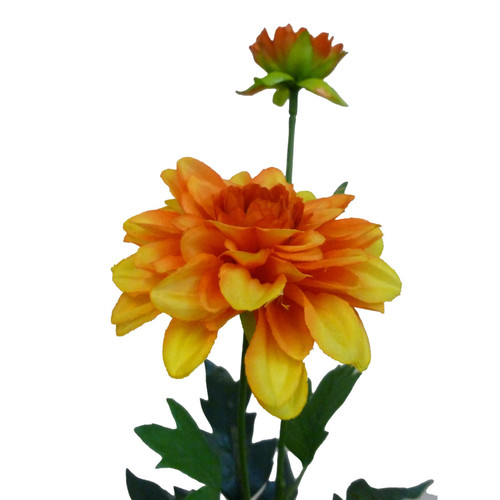 Orange Single Dahlia (61cm)