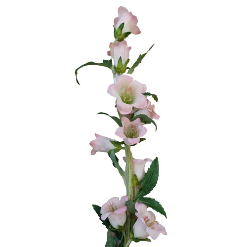 Pink Campanula Spray (88cm)