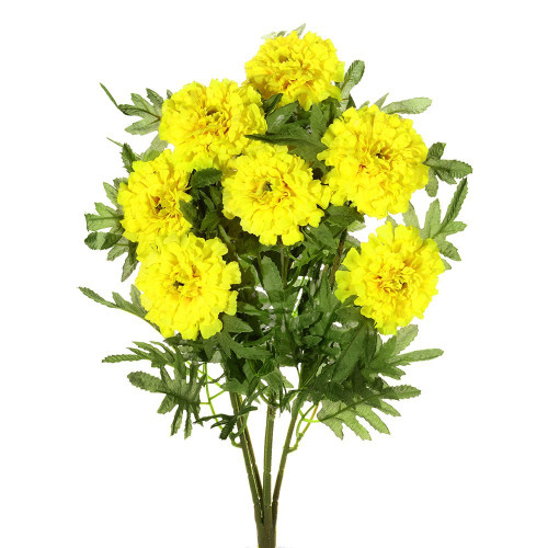 Yellow Marigold Bush