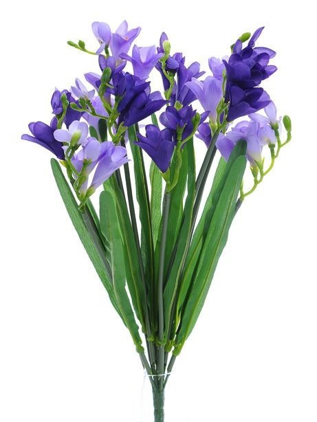 Lavender Freesia Bush (12 Stems)