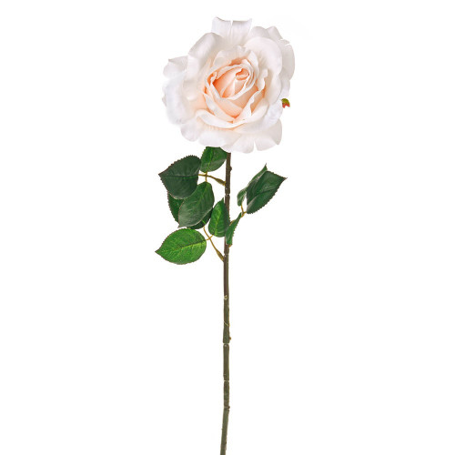 Peach Luna Rose (64cm)