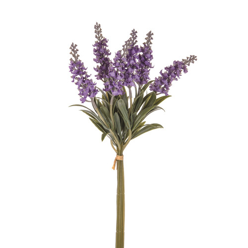 Lavender Purple In Bloom Bundle Purple