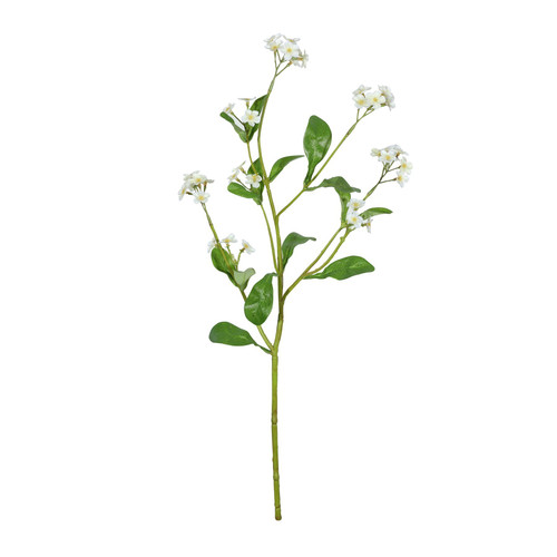 Cream Forget-Me-Not Spray (49cm)