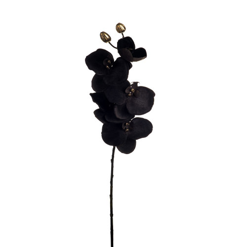 Grey Phalaenopsis Orchid Spray (66cm)