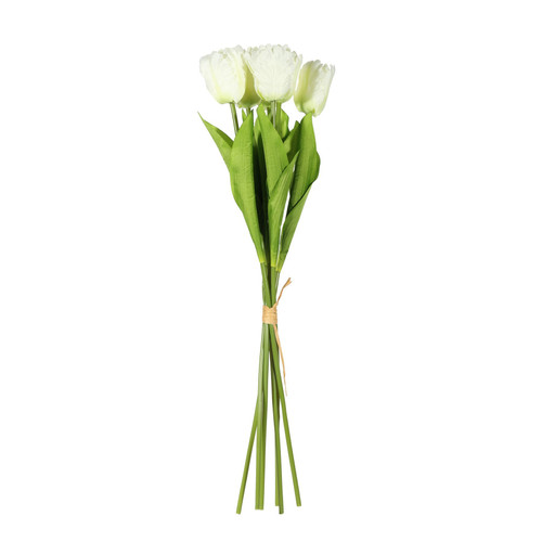 Essential Cream Small Parrot Tulip Bunch (6 Stems)