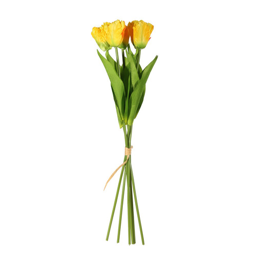 Essential Yellow Small Parrot Tulip Bunch (6 Stems)